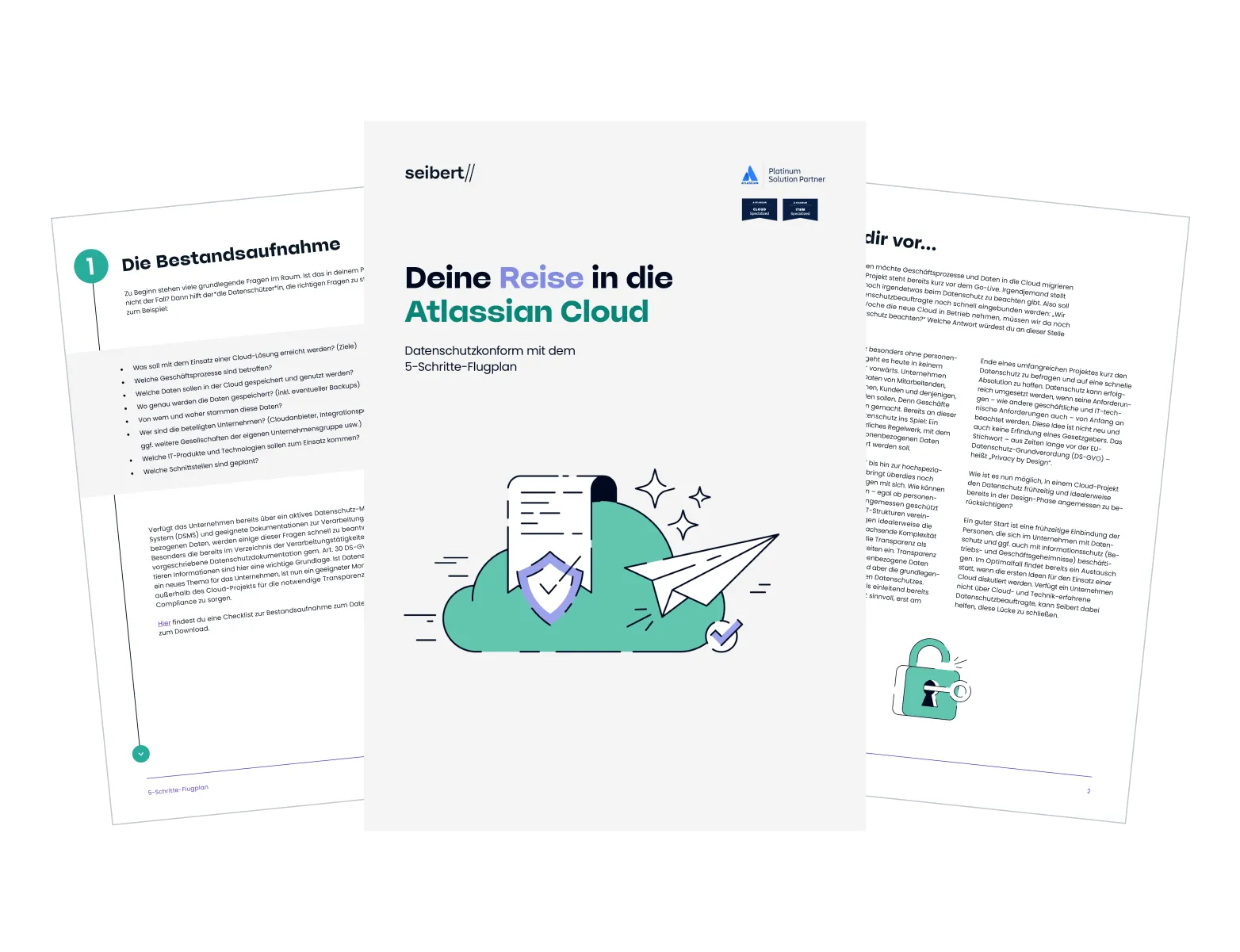 5-Schritte-Flugplan Preview